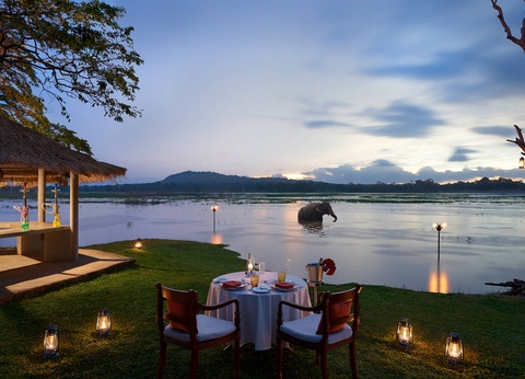 Circuit L'odyssée sri lankaise : l'île aux mille visages - 10