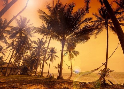 Circuit Carpe Diem à Bali Lombok - 22