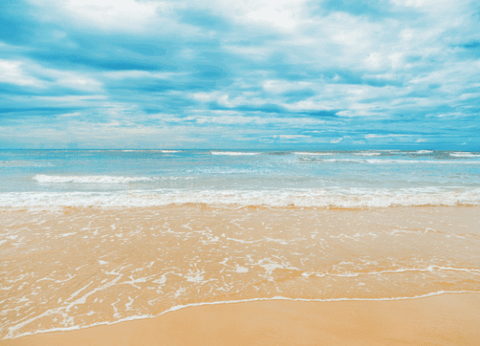 Circuit Sri Lanka Signature : Nature, Culture et Luxe - 13