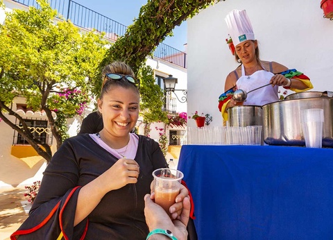 Hôtel Club Marmara Pueblo Andaluz 3* - 43