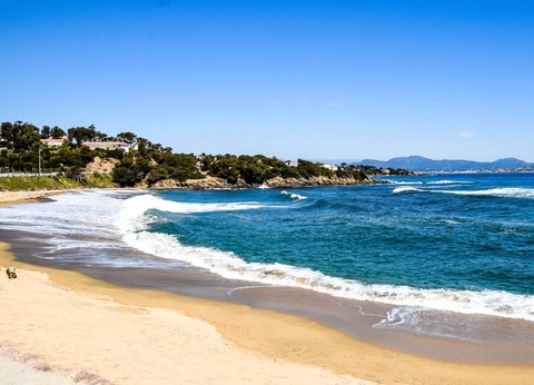 Camping au Paradis des Campeurs 4* - 40