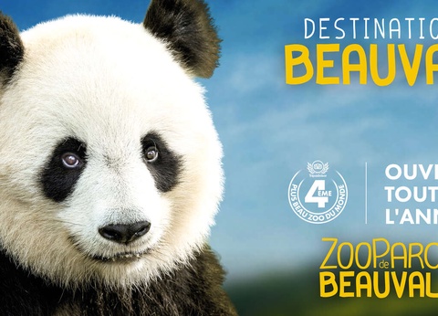 A la découverte du Zoo de Beauval - 3* - 13