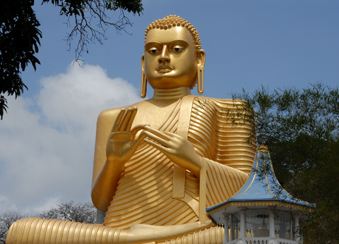 Circuit Le Royaume des Eléphants et plage en privatif - 18