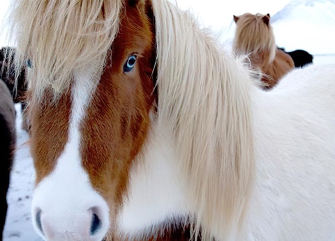 CITY BREAK 4 NUITS - BIEN-ÊTRE ET AURORES BORÉALES BY ÔVOYAGES - 14