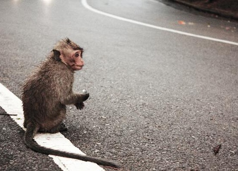 Circuit De la Baie d'Halong aux Temples d'Angkor - 2