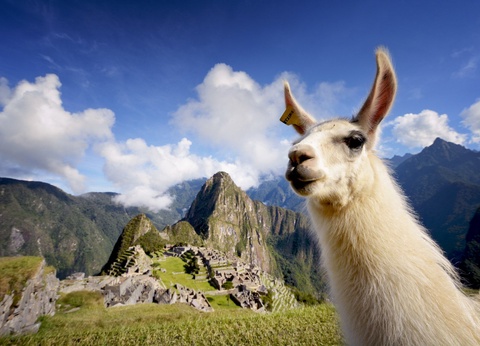 Incontournables du Pérou - 11J/9N - 2026 - 2