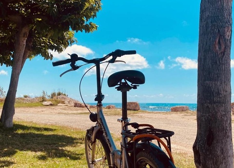 Camping Playa Y Fiesta - 6