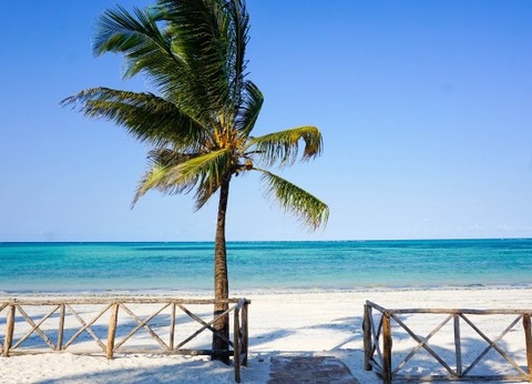 Combiné circuit et hôtel Framissima Paje Palms Beach Resort 4* avec 2 nuits au Parc de Selous - 11