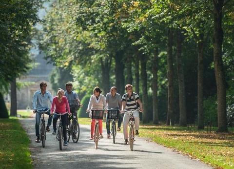 Camping Domaine de l'Orangerie de Lanniron 5* - 20