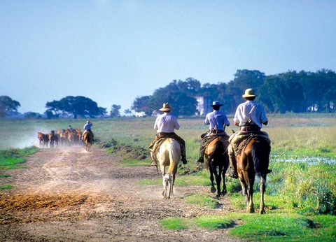 Circuit De l'Argentine au Chili et Extension Île de Pâques - 6