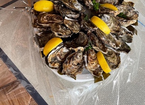 Camping Le Petit Bois, 3* - 23