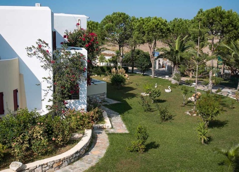 Hôtel Asteras Paradise 4* - 4