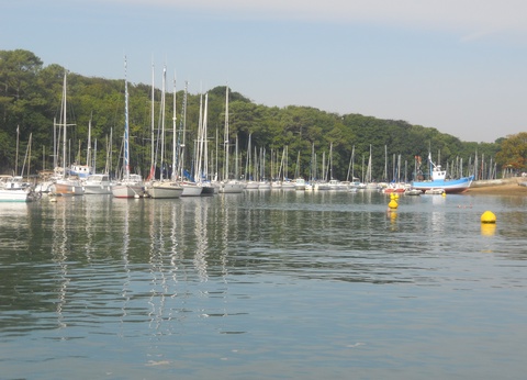 Camping Moulin de Cantizac 3* - 8