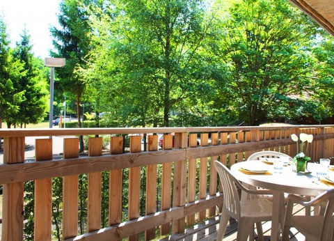 VVF Les Vosges Bitche 3* - 16