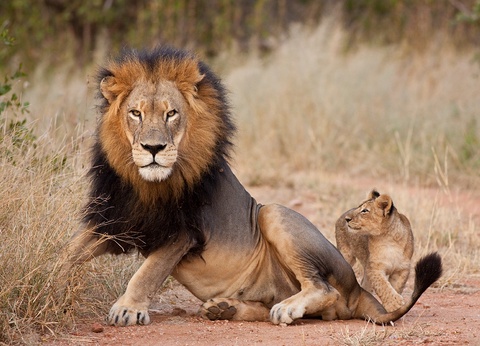 Circuit L'essentiel du Kenya en 4 x 4 - 2