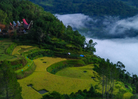 Circuit De Java au Pays Toraja - 4