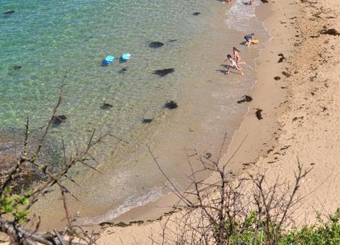 Camping La Touesse 4* - 36