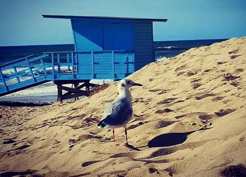 Camping Ushuaïa villages la Chesnays, 4* - 29