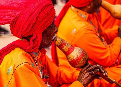 Immersion au Rajasthan - 15