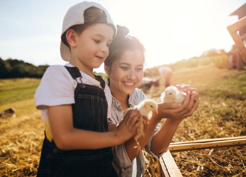 Camping du Menhir 4* - 17