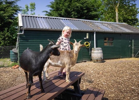 Camping Marvilla Parks Friese Meren, 4* - 3