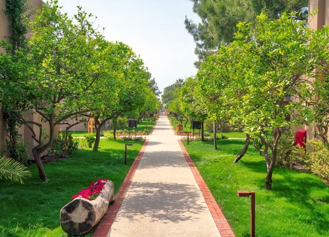 Hôtel Pirate's Beach Club 5* - 9