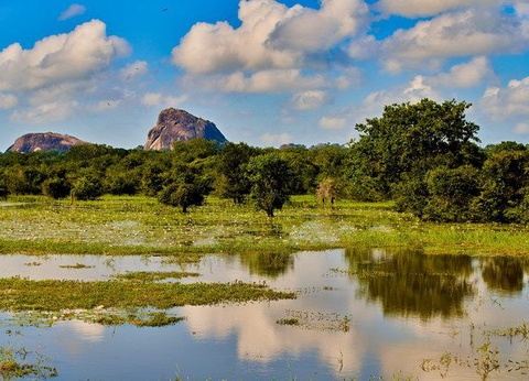 Circuit Ceylan Bonheur - 13