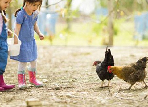 Camping La Forêt, 4* - 22