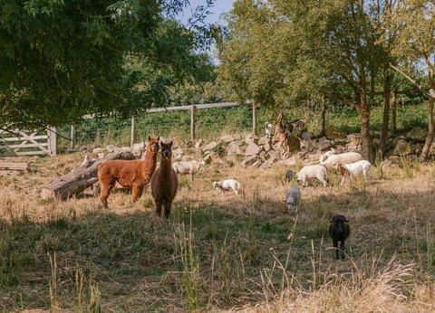 Slow Village Pornic, 4* - 6