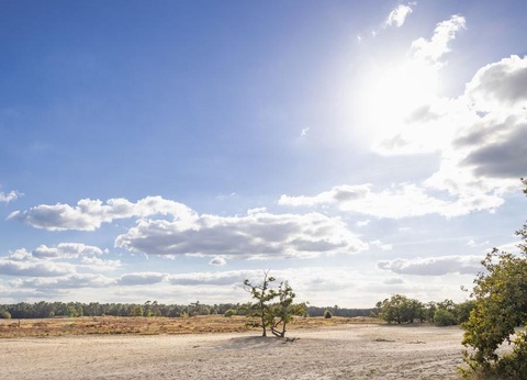 Camping Marvilla Parks - Kaatsheuvel, 4* - 22