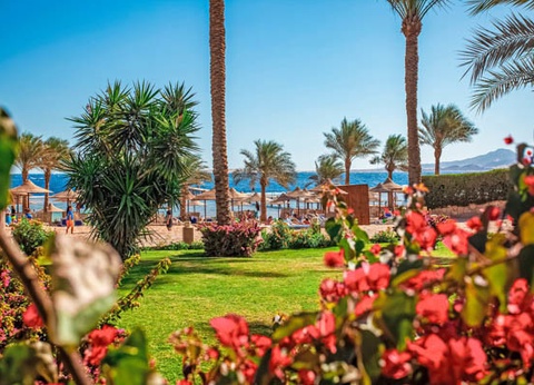 Club Framissima Tamra Beach Resort 4* - 18