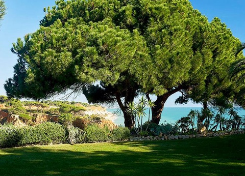 Hôtel PortoBay Falesia Hotel 4* - 11