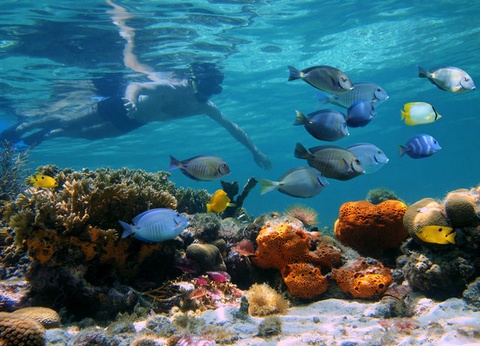 Combiné croisière et hôtel L'Egypte au rythme du Nil 4* - 3