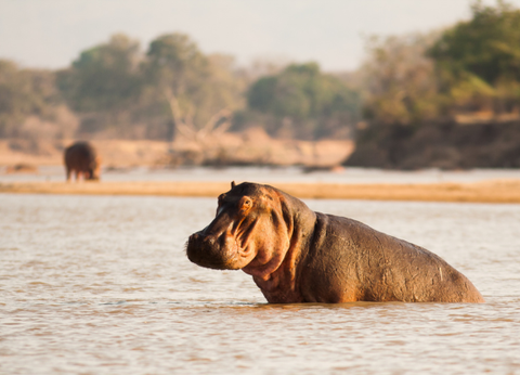 Circuit Lumières de la Savane Africaine - 11