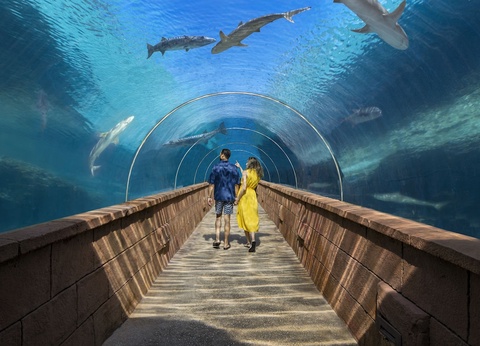 Hôtel The Royal at Atlantis 4* - 29