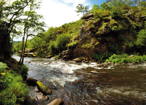 Camping A L'Abri de l'Océan, 3* - 34