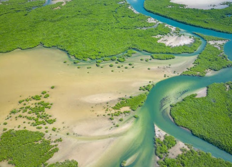 Circuit Sénégal, entre savane et plage du Framissima Riu Baobab ***** - 4
