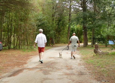 OFFRE CHOC - Camping Val Roma Park 3* - 22