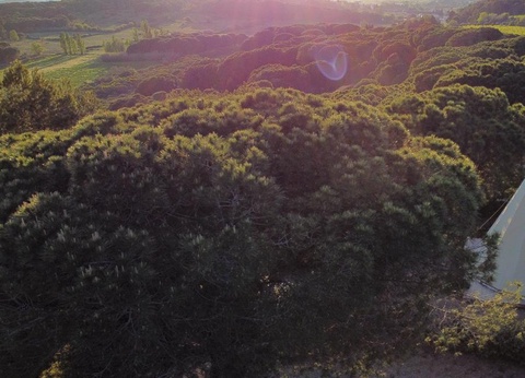 Camping Figurotta, 3* - 46