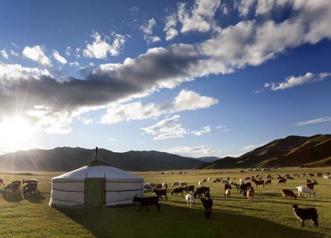 Mongolie, terre nomade - 5