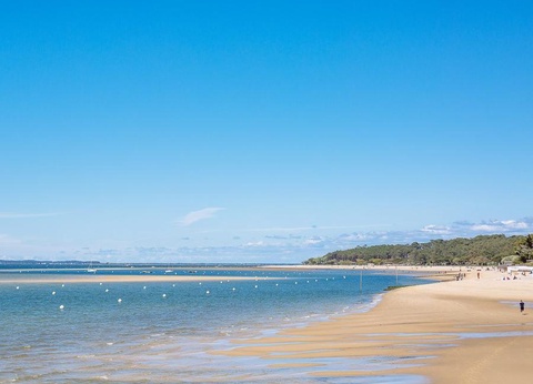 Camping Sea Green Domaine de La Forge, 4* - 24