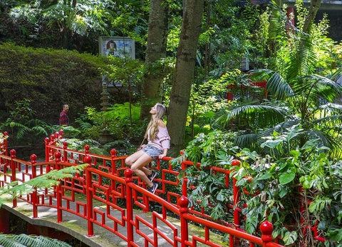 Circuit Echappée Jardins de Madère depuis le Dom Pedro Garajau 3* - 10