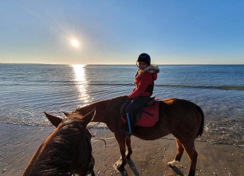 Camping La Roseraie, 4* - 41