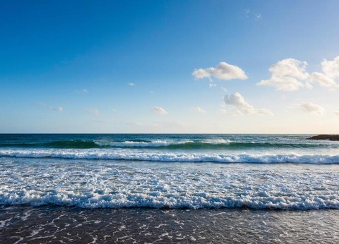 Hôtel Turim Alameda 4* - 12