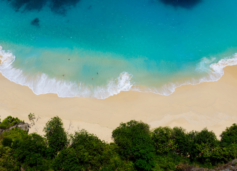 Combiné De Hong Kong à la Jungle de Bali - 21