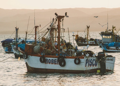Circuit Sur la trace des Incas : de la Vallée Sacrée aux rivages de Paracas - 9