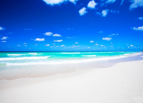 Hotel Starfish Cuatro Palmas 4* - 3