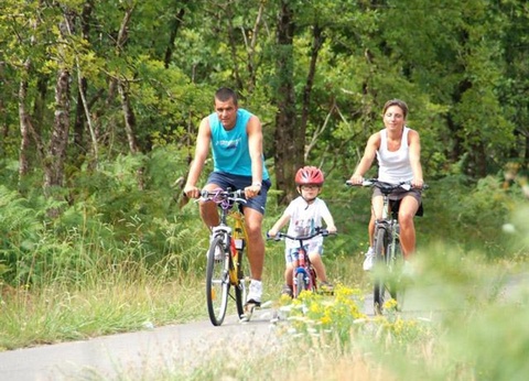 Camping Landes Bleues, 4* - 35