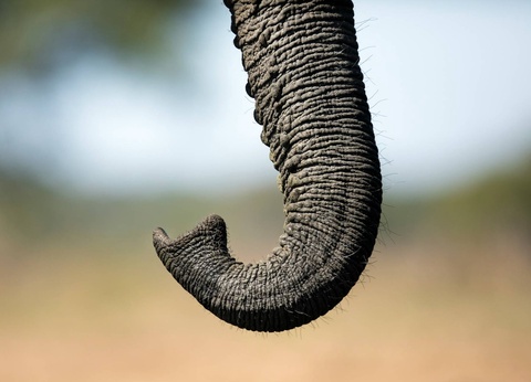 Circuit Éclats de l'Afrique australe **** - 5