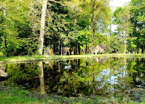 Séjour en cottage de luxe proche d'Orléans - 4* - 9